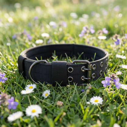 noir collier chien tissu