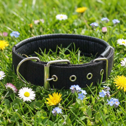 noir collier pour chien fleur