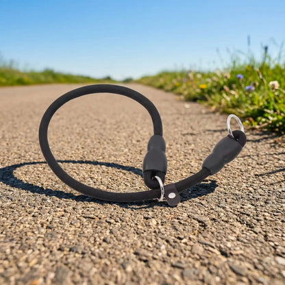 noir collier pour chien-macadam