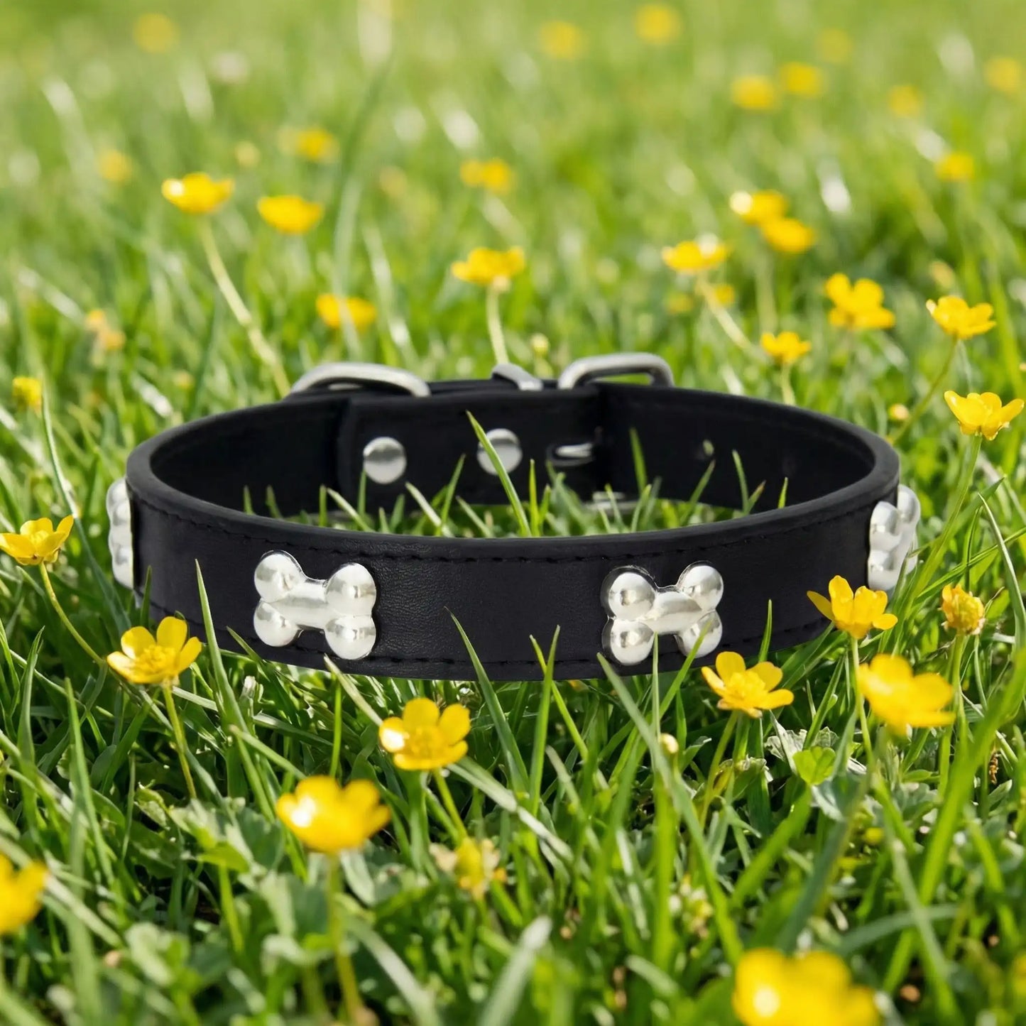 noir collier pour chien 