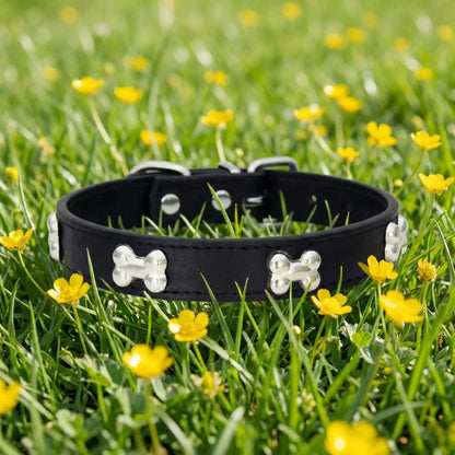 noir collier pour chien 