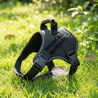 noir harnais pour chien herbe