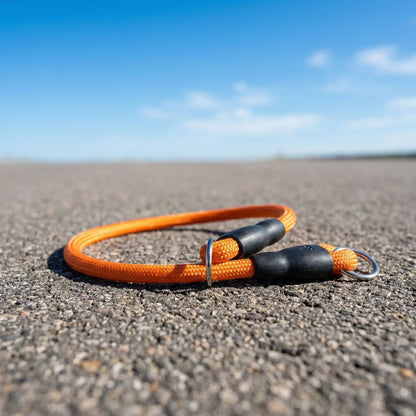 orange collier pour chien 