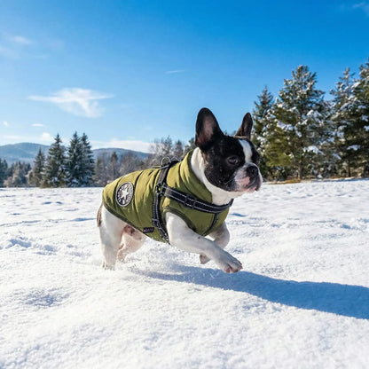 prairie manteau pour chien 