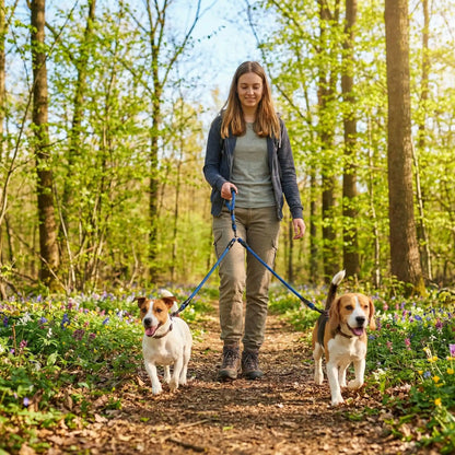 printemps double laisse pour chien 