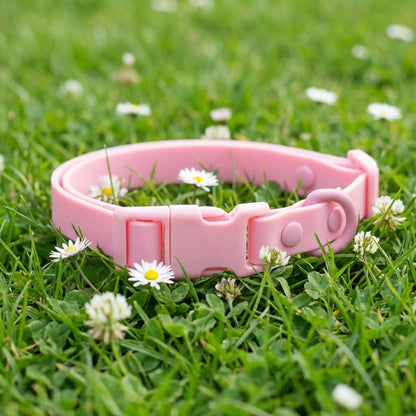 rose collier chien herbe 