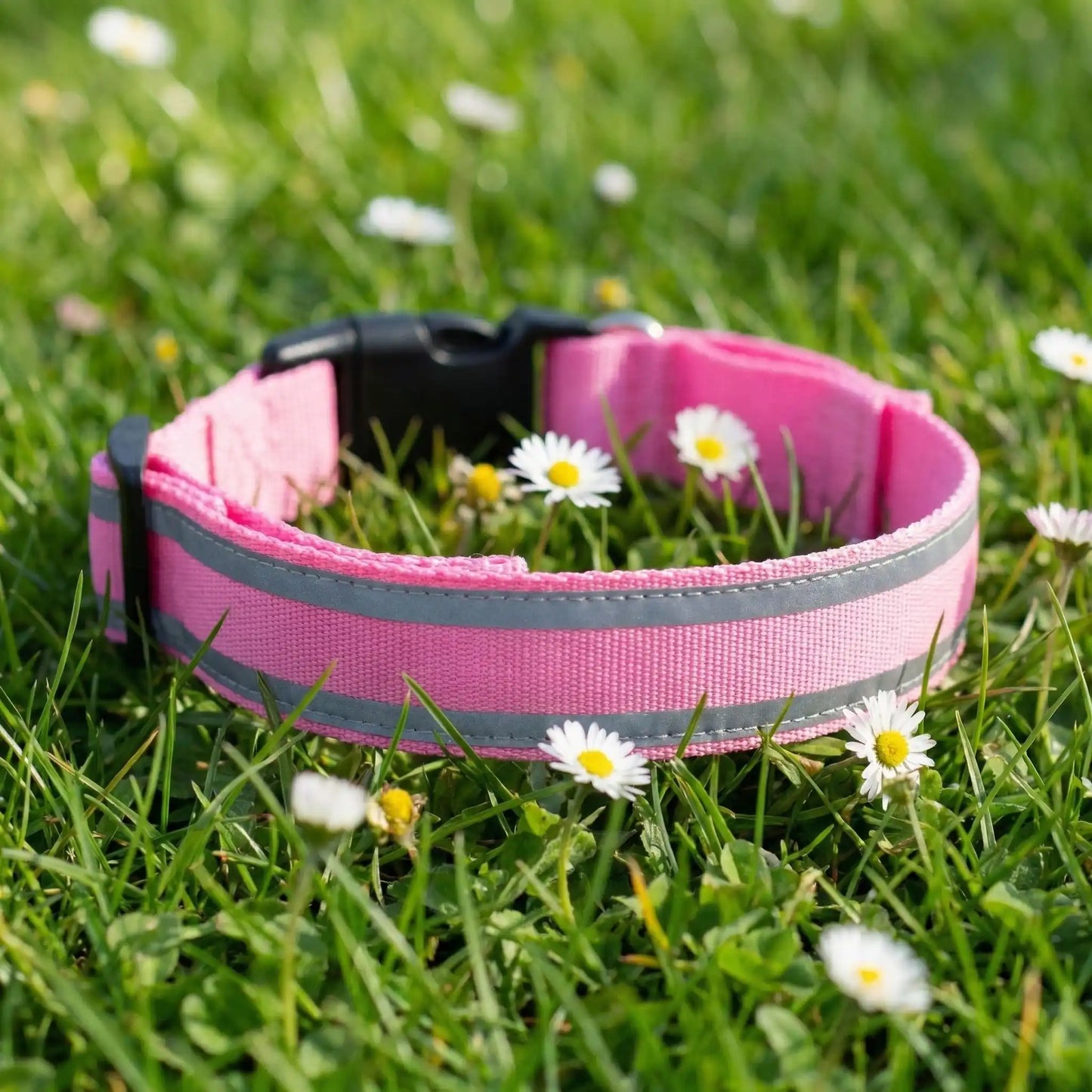 rose collier pour chien lumineux 
