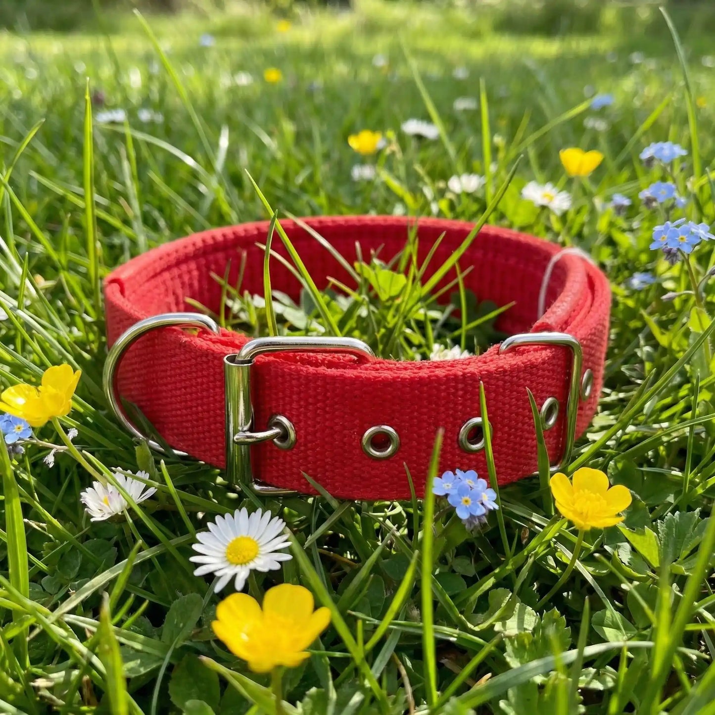 rouge collier pour chien fleur