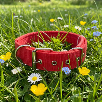 rouge collier pour chien fleur