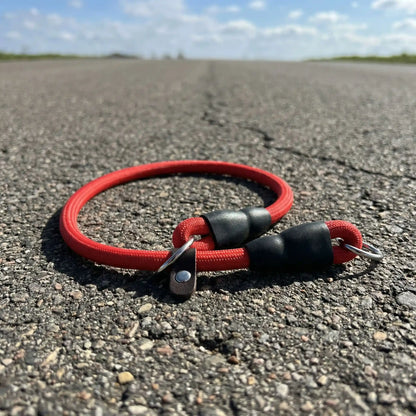 rouge collier pour chien 