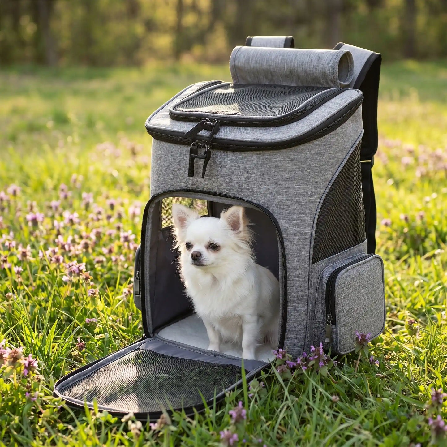 sac a dos pour chien seul gris