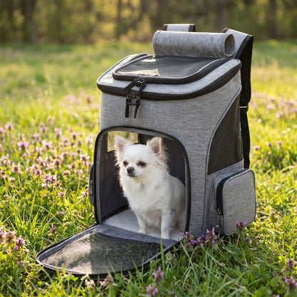 sac a dos pour chien seul gris