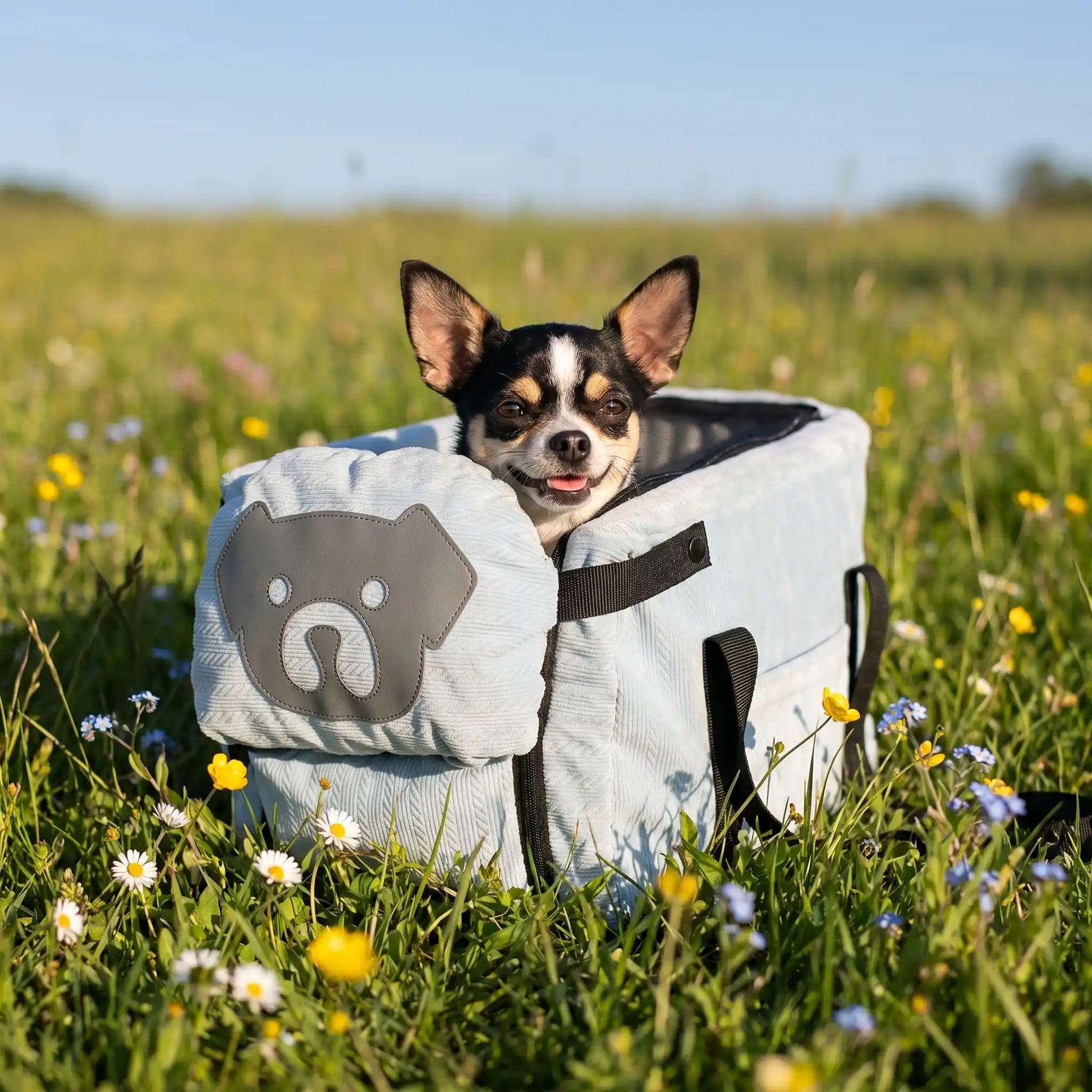 sac pour transporter un chien confort