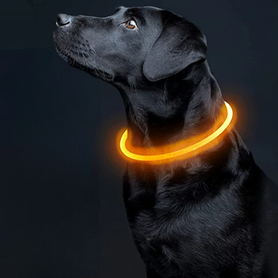 Collier Chien - DogCollarLight™ - Orange