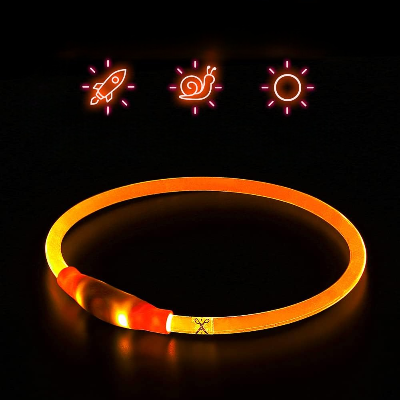 Collier Chien - DogCollarLight™ - Orange
