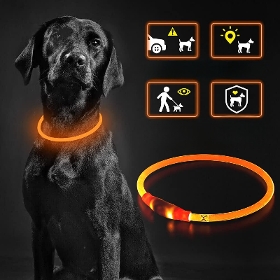 Collier Chien - DogCollarLight™ - Orange