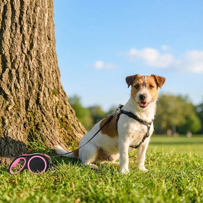 tronc laisse pour chien nature 