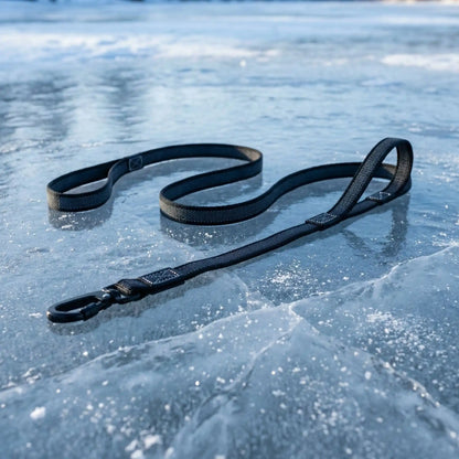 une laisse de chien noire 