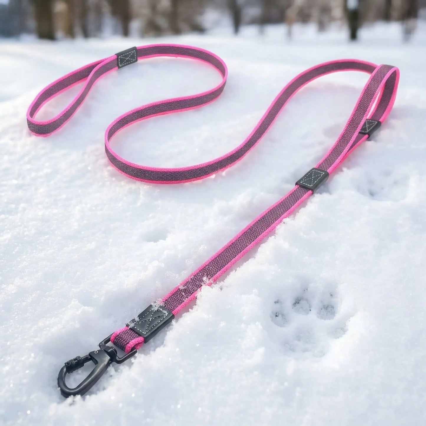 une laisse de chien rose 