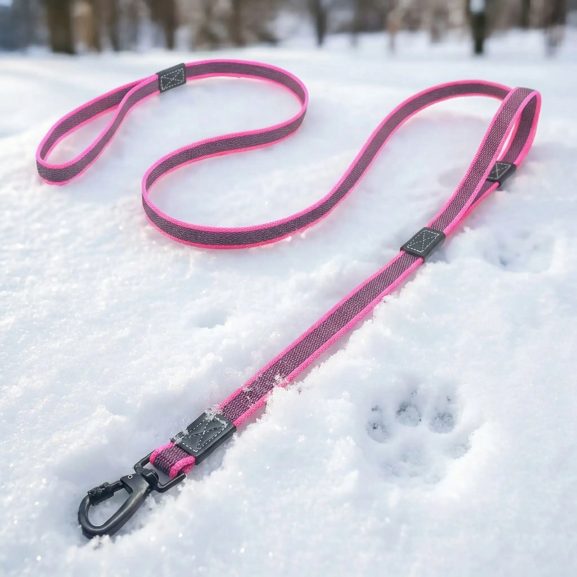 une laisse de chien rose 