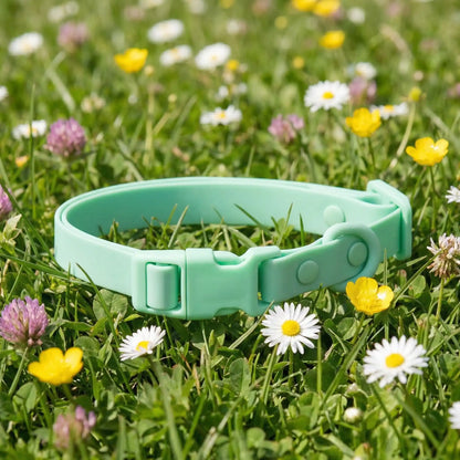 vert collier chien herbe