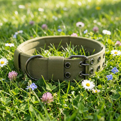 vert collier chien tissu