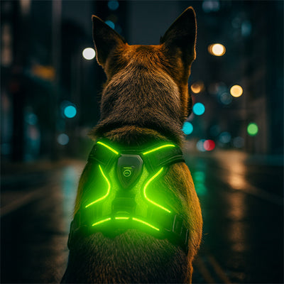 ville harnais pour chien 