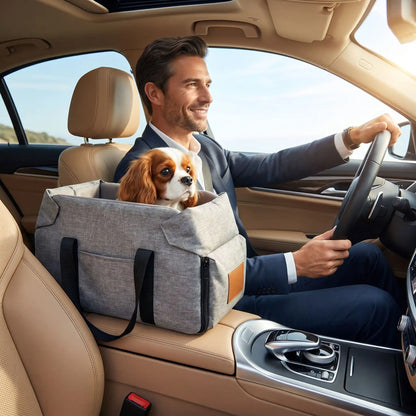 voiture sac transport pour chien 